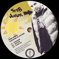 Sebb Junior — If We Try — обложка